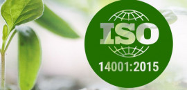 Сертификат ISO 14001: что он даёт, как получить