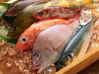 Коллегия ЕЭК может принять проект ТР ТС «О безопасности рыбы и рыбной продукции» в сентябре текущего года