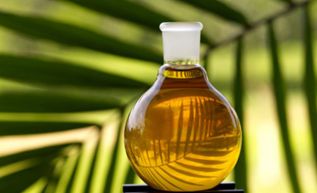 Госдума рассмотрит законопроект, препятствующий использованию пальмового масла в продуктах для детей