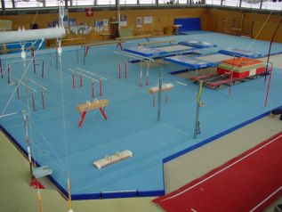 Впервые в России будет введен стандарт на гимнастическое оборудование