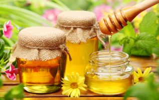 Правильное содержание пчел и стандарты российского меда