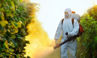 О гармонизации норм максимально допускаемых уровней содержания пестицидов в пищевых продуктах, а также окружающей среде с международными требованиями